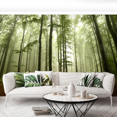 Papel de parede Floresta enevoada