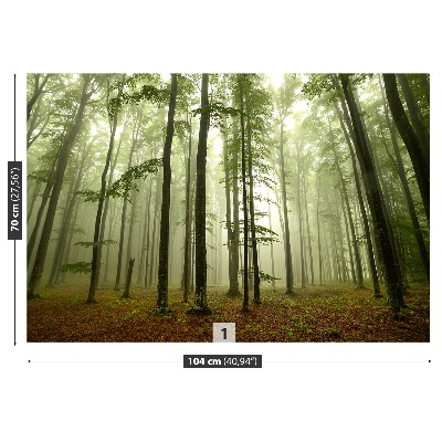 Papel de parede Floresta enevoada