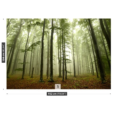 Papel de parede Floresta enevoada