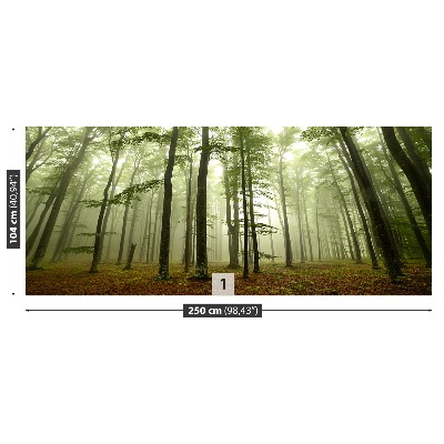 Papel de parede Floresta enevoada