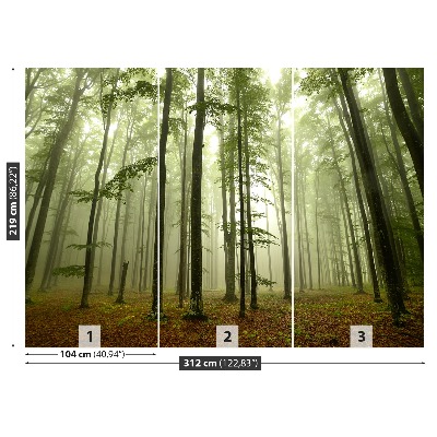 Papel de parede Floresta enevoada