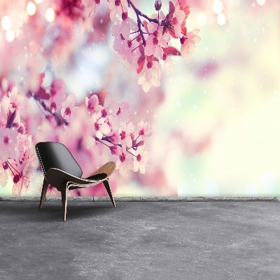 Papel de parede flores de cerejeira