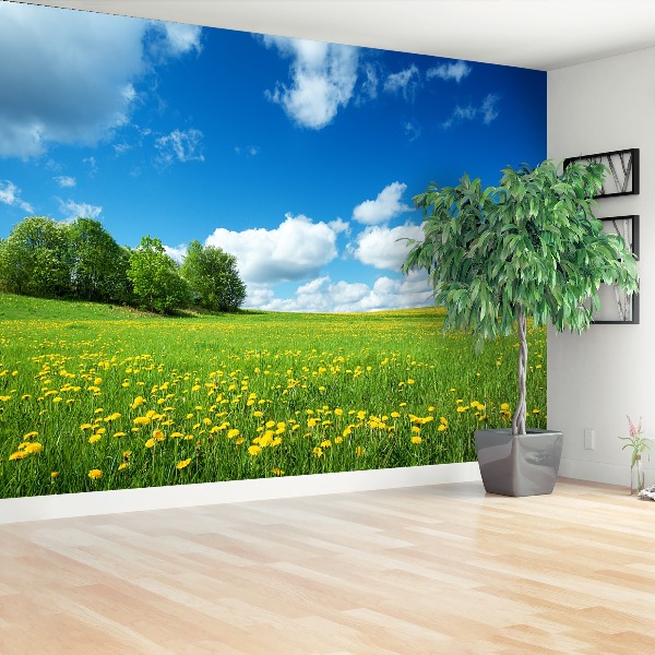 Mural de parede Dentes-de-leão amarelos