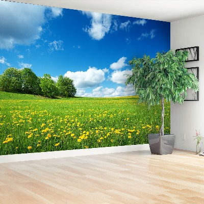 Mural de parede Dentes-de-leão amarelos