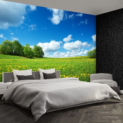 Mural de parede Dentes-de-leão amarelos