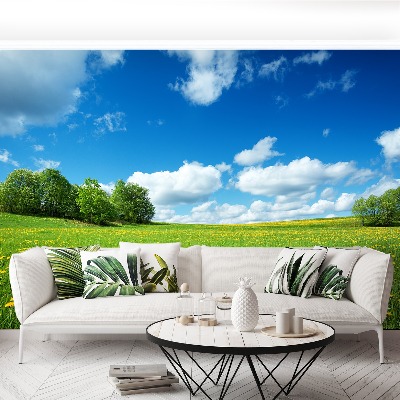 Mural de parede Dentes-de-leão amarelos