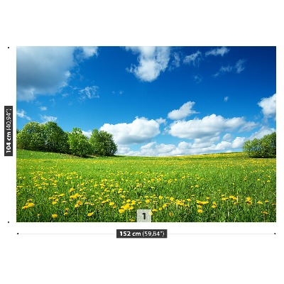 Mural de parede Dentes-de-leão amarelos