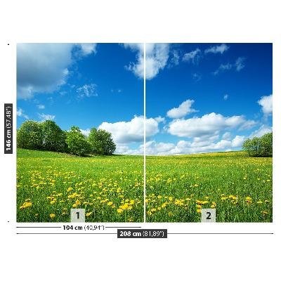 Mural de parede Dentes-de-leão amarelos