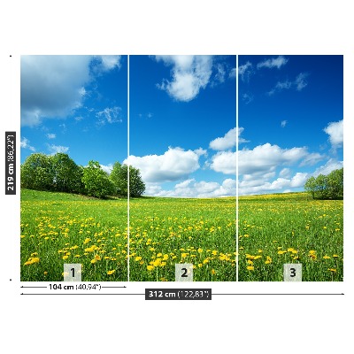 Mural de parede Dentes-de-leão amarelos