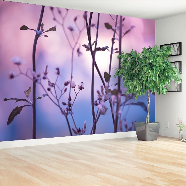 Papel de parede Botões roxos