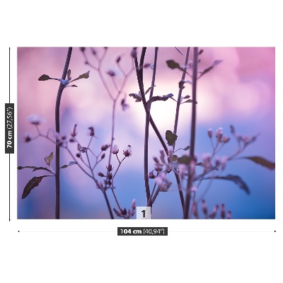 Papel de parede Botões roxos