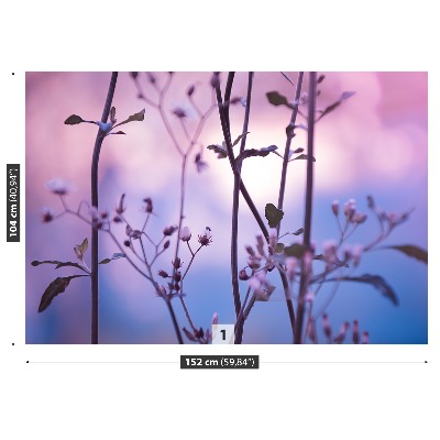 Papel de parede Botões roxos