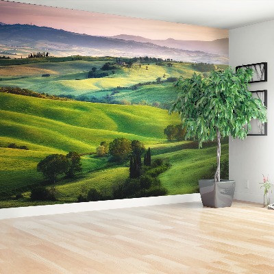 Papel de parede prados italianos
