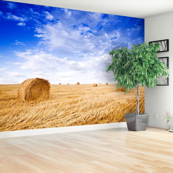 Papel de parede Campo Dourado