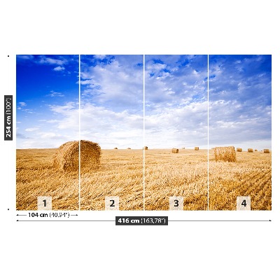 Papel de parede Campo Dourado