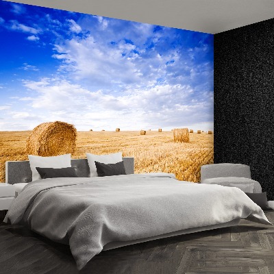 Papel de parede Campo Dourado