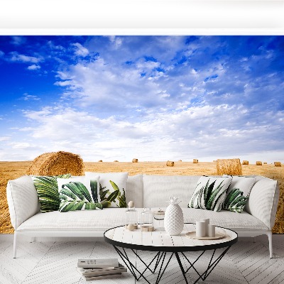 Papel de parede Campo Dourado