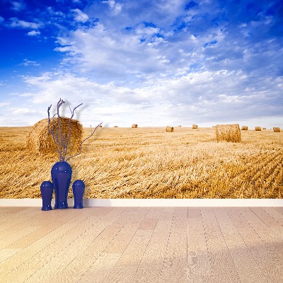 Papel de parede Campo Dourado