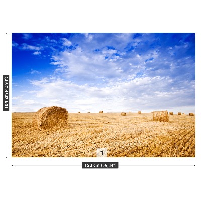 Papel de parede Campo Dourado