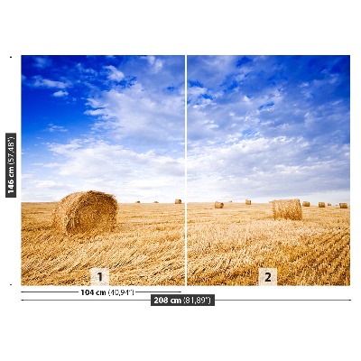 Papel de parede Campo Dourado