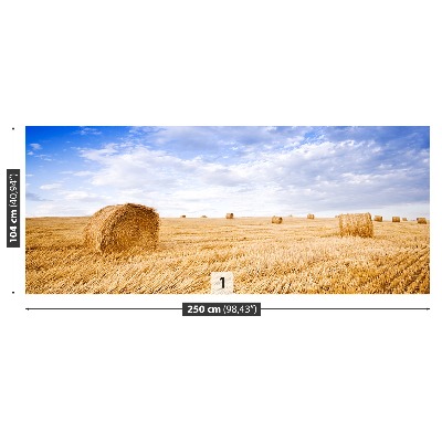 Papel de parede Campo Dourado