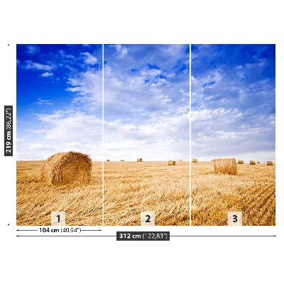 Papel de parede Campo Dourado