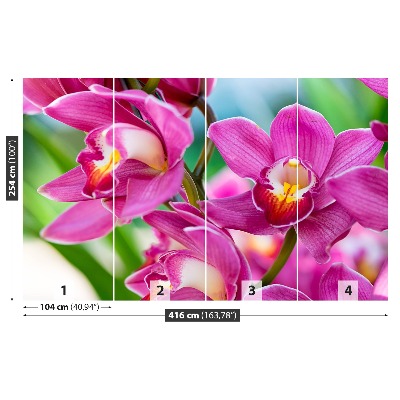 Papel de parede orquídeas rosas