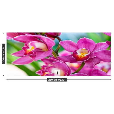 Papel de parede orquídeas rosas