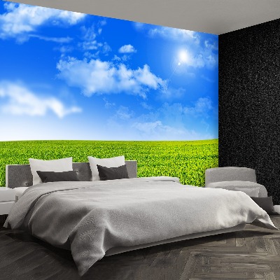 Mural de parede grama verde