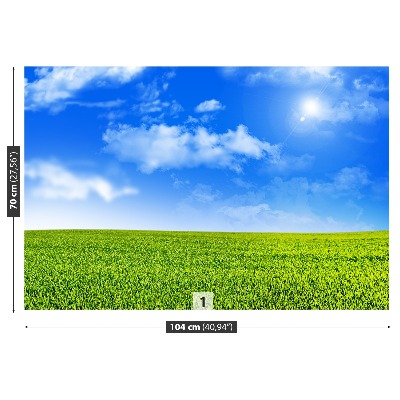 Mural de parede grama verde