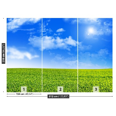 Mural de parede grama verde