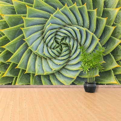 Papel de parede Simetria de Aloe