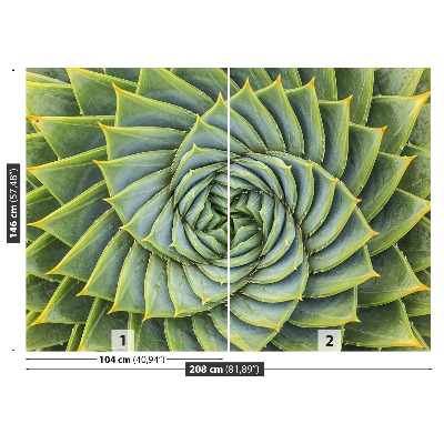 Papel de parede Simetria de Aloe