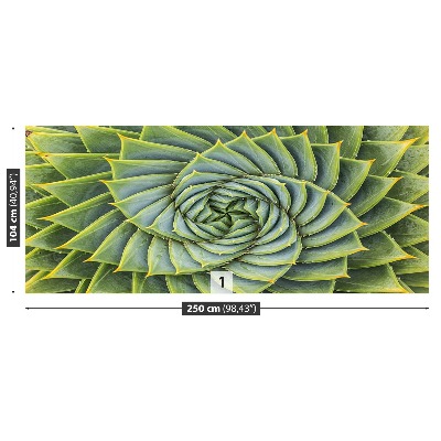 Papel de parede Simetria de Aloe