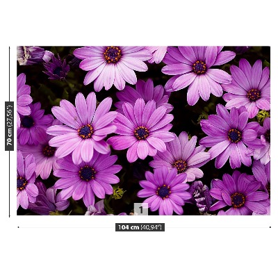 Mural de parede Flores roxas