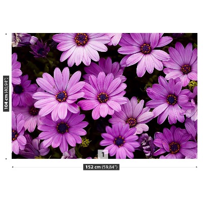 Mural de parede Flores roxas