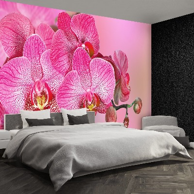 Mural de parede Orquídea Rosa