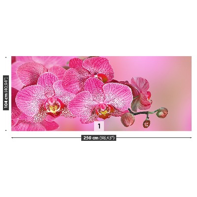Mural de parede Orquídea Rosa