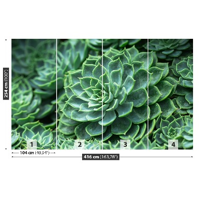 Papel de parede Cacto Verde