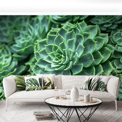 Papel de parede Cacto Verde