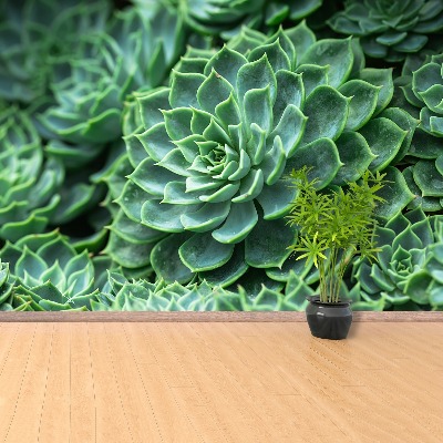 Papel de parede Cacto Verde