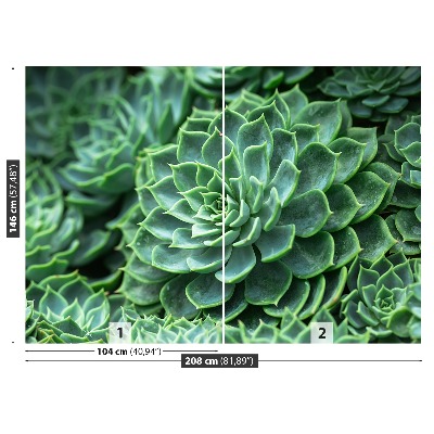 Papel de parede Cacto Verde