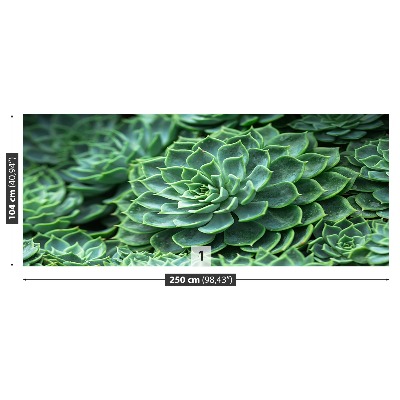 Papel de parede Cacto Verde