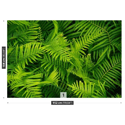 Mural de parede Samambaia Verde