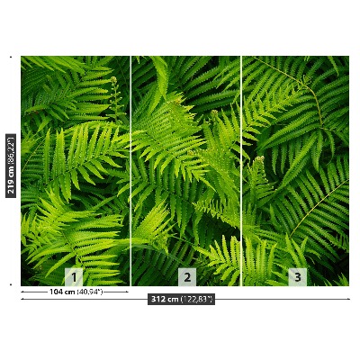 Mural de parede Samambaia Verde