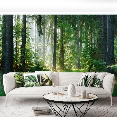 Papel de parede Abetos vermelhos