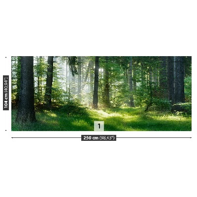 Papel de parede Abetos vermelhos