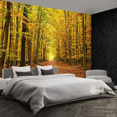 Mural de parede Beco de outono