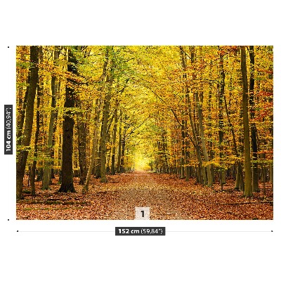 Mural de parede Beco de outono