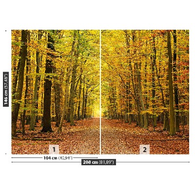 Mural de parede Beco de outono